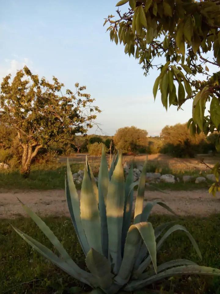 Masseria Fra Diavolo Vendégház Castellana Grotte Kültér fotó
