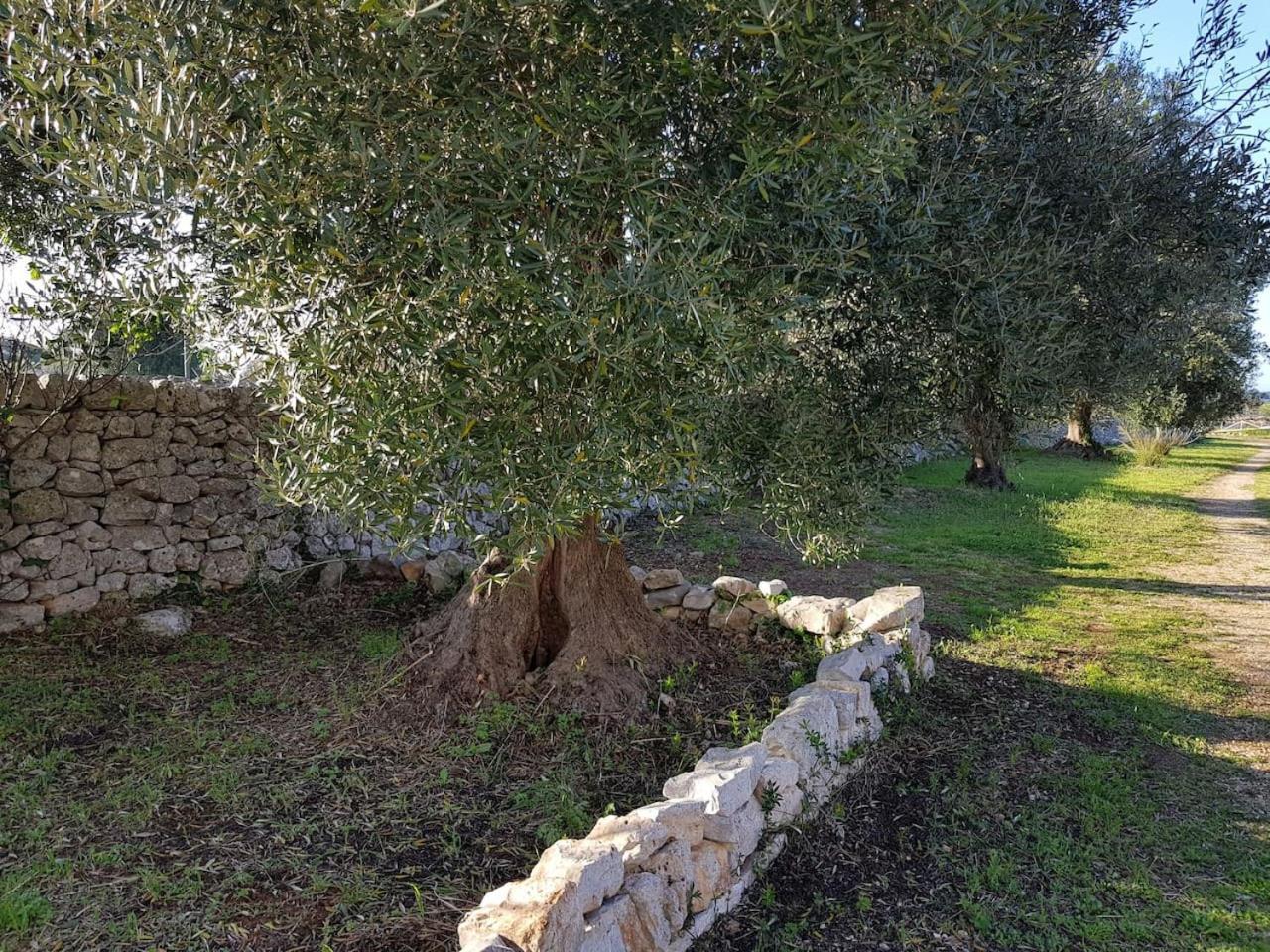 Masseria Fra Diavolo Vendégház Castellana Grotte Kültér fotó
