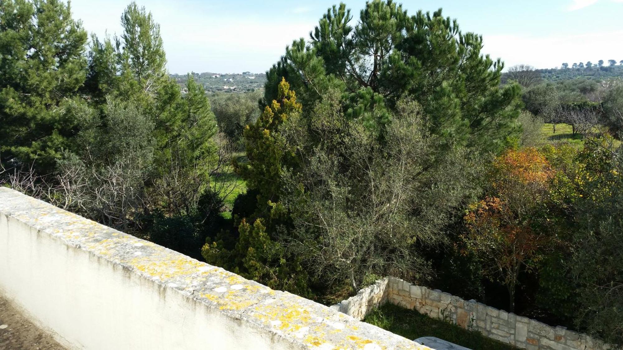 Masseria Fra Diavolo Vendégház Castellana Grotte Kültér fotó